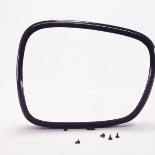 BMW X1 ANTI-THEFT MIRROR GUARD