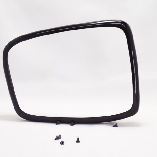 HONDA ODYSSEY ANTI-THEFT MIRROR GUARD