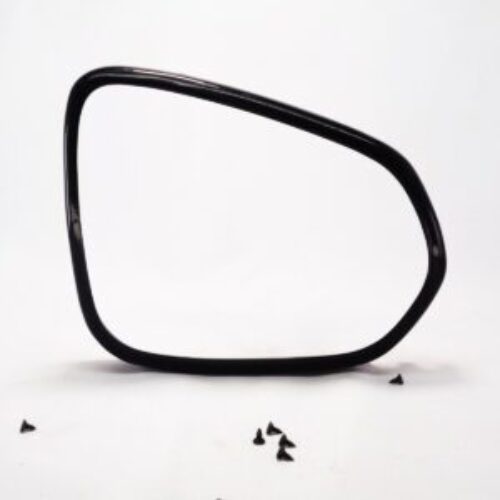 LEXUS RX350L ANTI-THEFT MIRROR GUARD